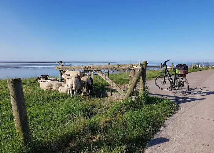 G15 Haus Mit Whirlwanne Direkt An Der Nordseekues By Interhome